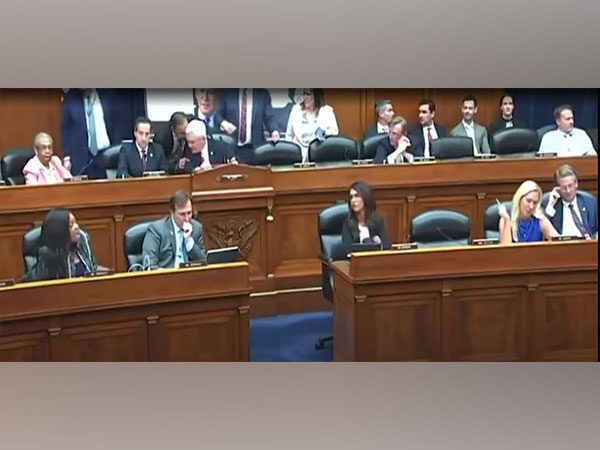 Video grab of proceedings at a US House panel meeting