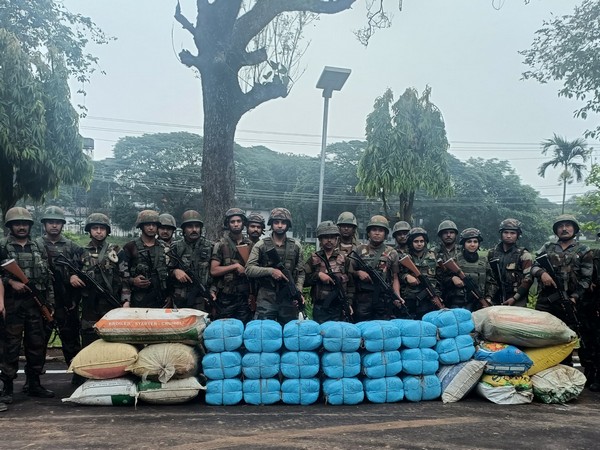 Assam Rifles recover marijuana in Sepahijala (Photo/Assam Rifles)