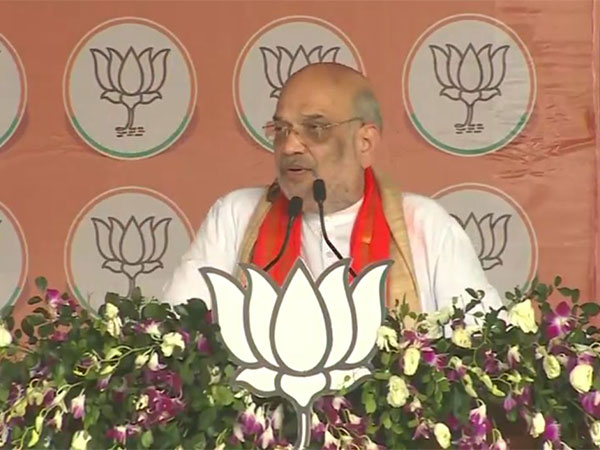 Union Home Minister Amit Shah (Photo/ANI)