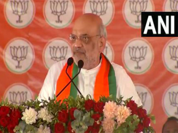 Union Home Minister Amit Shah (Photo/ANI)