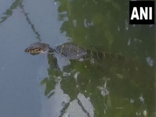 Kolkata's Alipore zoo implements heatwave relief measures for animals (Photo/ANI)