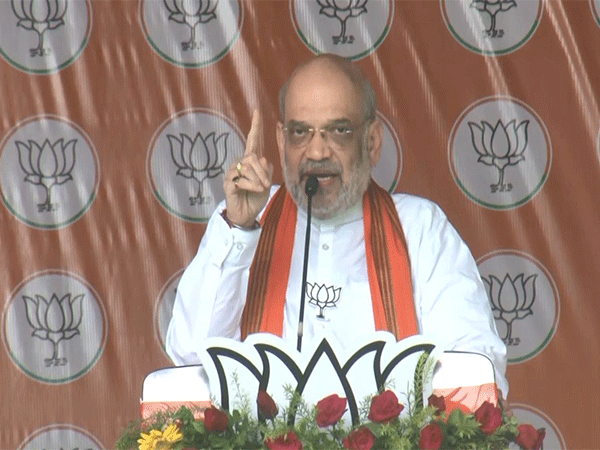 Union Home Minister Amit Shah (Photo/ANI)