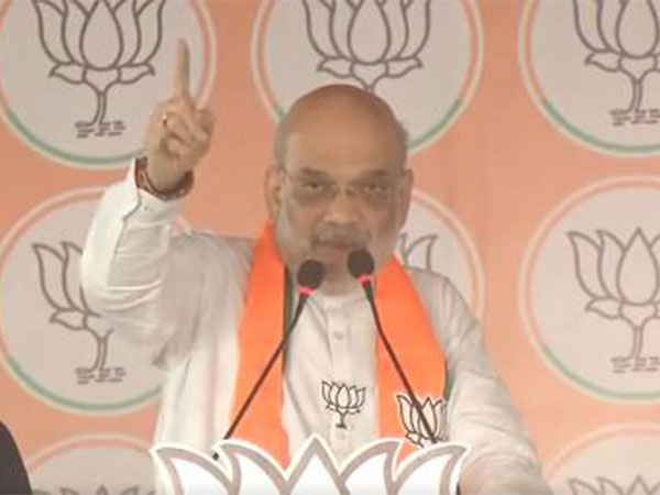 Union Home Minister Amit Shah (Photo/ANI)