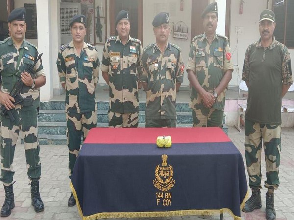 BSF recovers 1 packet of suspected heroin in Amritsar (Photo/BSF)
