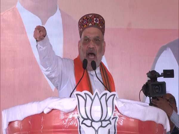 Union Home Minister Amit Shah (Photo/ANI)