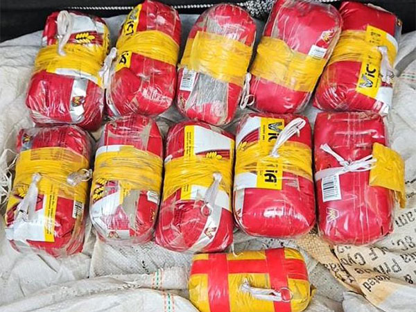 Punjab Police, BSF bust international drug smuggling module (Photo/X/@DGPPunjabPolice)