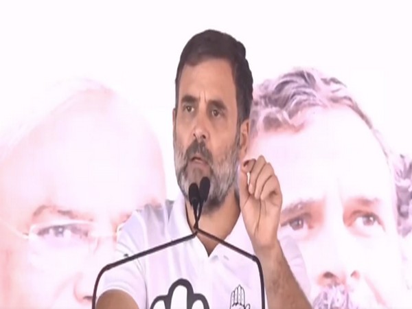 Congress leader Rahul Gandhi (Photo/ANI)