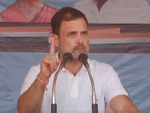 Congress leader Rahul Gandhi (Photo/Twitter:@INCIndia)