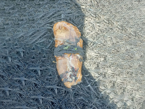 Suspected packet of heroin (Pic credit/BSF)