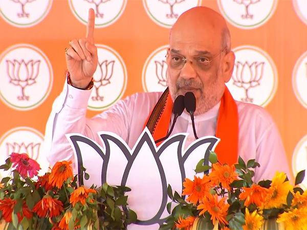 Union Home Minister Amit Shah (Photo/ANI)