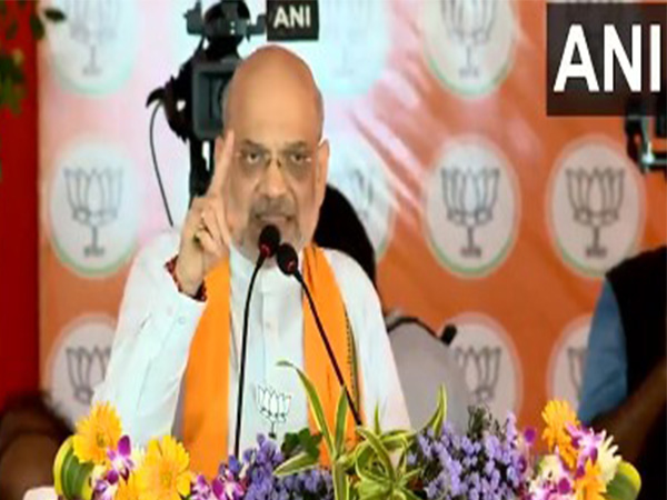 Union Home Minister Amit Shah. (Photo/ANI)