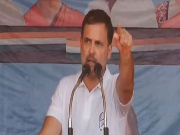 Congress leader Rahul Gandhi (Photo/ANI)