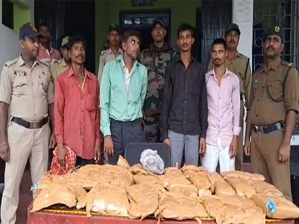 Arrested accused in police custody with seized cannabis (Photo/ANI)