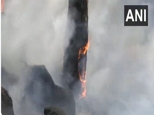 Forest fire incident at Rajouri Forest division (Photo/ANI)