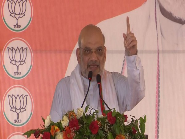 Union Home Minister Amit Shah (Photo/ANI)