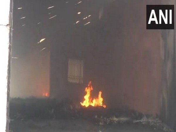 Fire broke out at a carton factory in Raipur. (Photo/ANI)