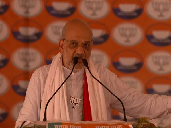 Union Home Minister Amit Shah (Photo/ANI)
