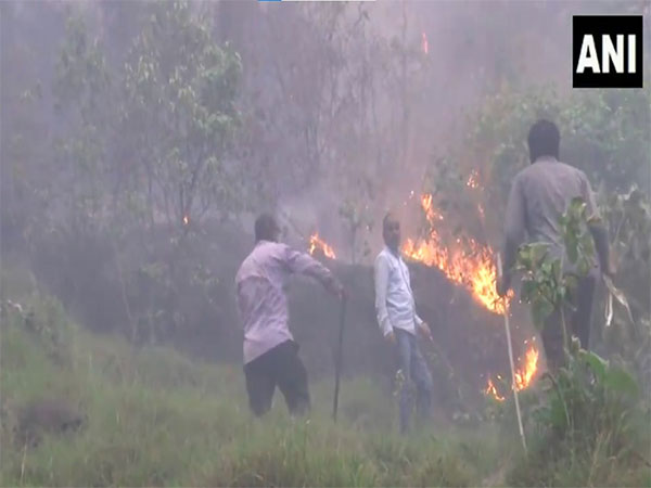  Forest fire increases in Chingus, Nowshera (Photo/ANI) 