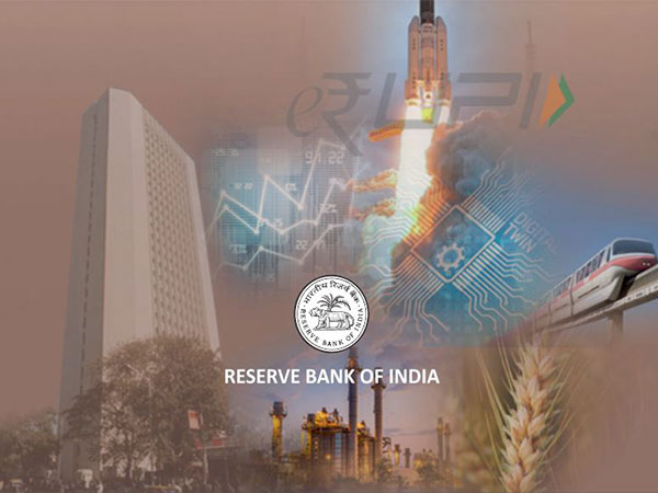RBI releases annual report for 2023-24. (Photo/RBI report)