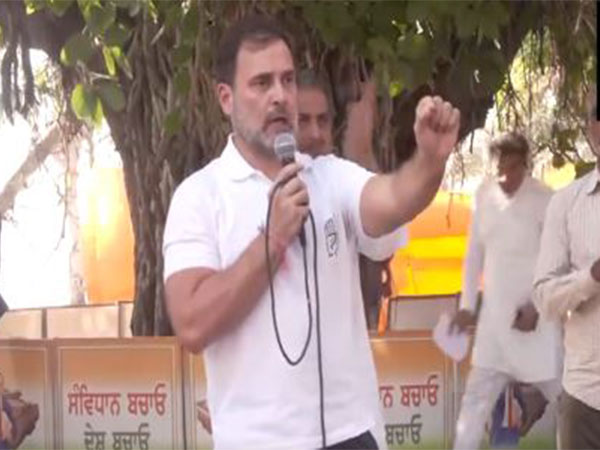 Congress MP Rahul Gandhi (Photo/ANI)