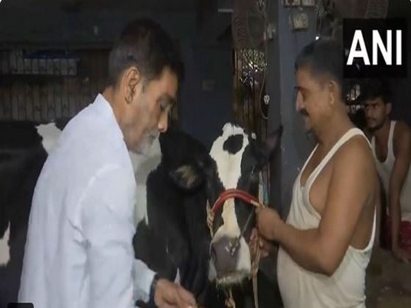 BJP candidate from Pataliputra LS seat Ram Kripal Yadav visits a gaushala in Patna (Photo/ANI)