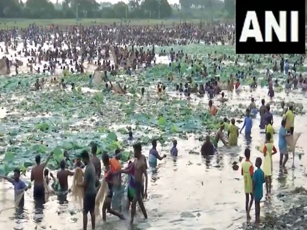 Villagers celebrate centuries-old fishing festival in Tamil Nadu's Melur (Image/ ANI)