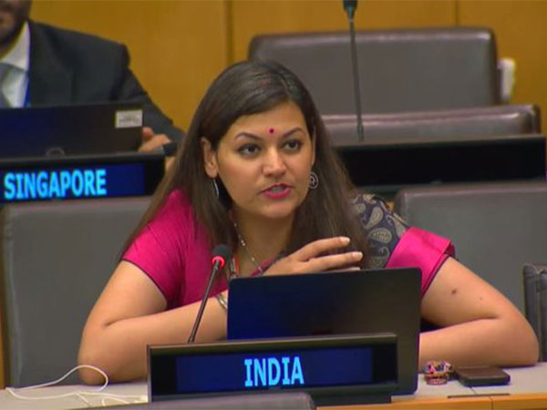 
    India highlights partnership, contribution with UNDP
    