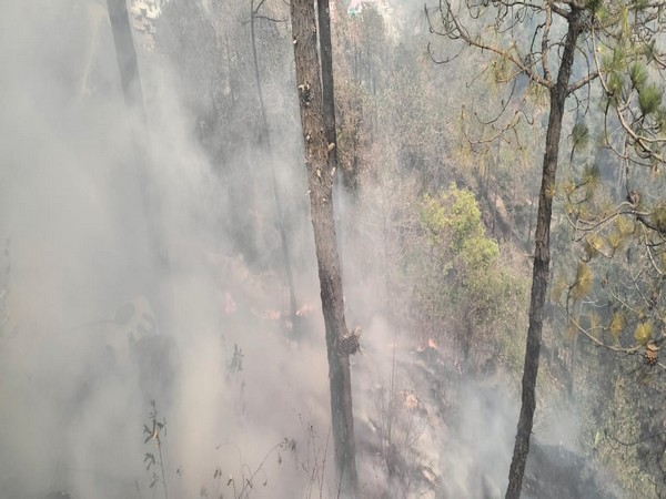 Forest fire incident near Sankat Mochan temple in Himachal Pradesh's Shimla. (Photo/ANI)