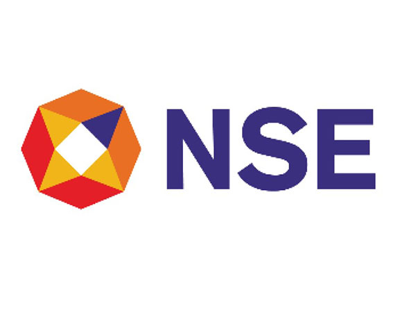 NSE logo