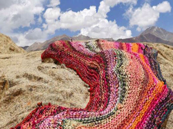 “River of Sweat” Anshu Singh (Image/German Embassy in Delhi)