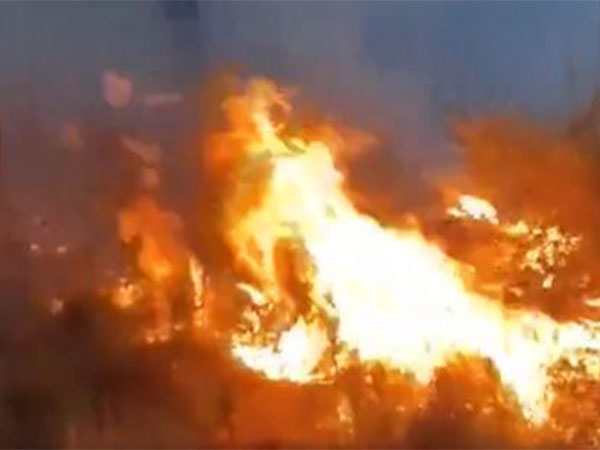 Visuals from the fire in Poonch district (Photo/ANI)