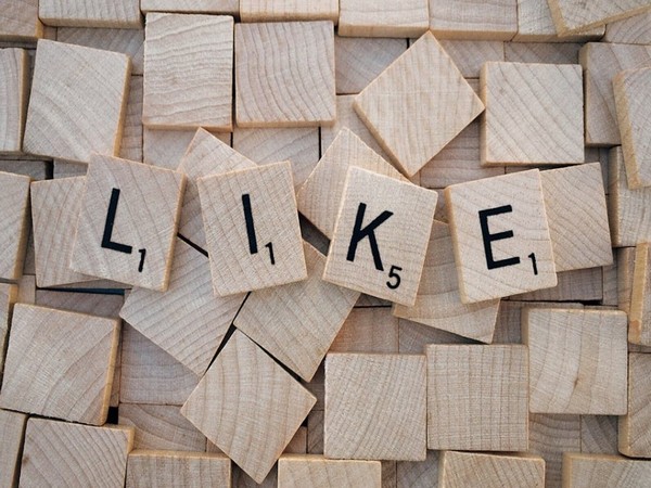 Representative Image (Pexels.com)