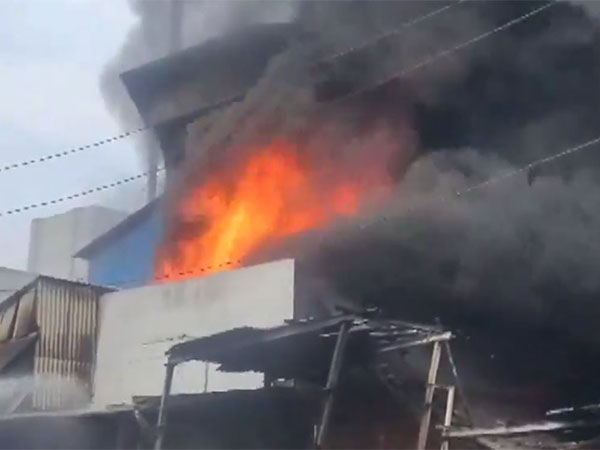 Representative image