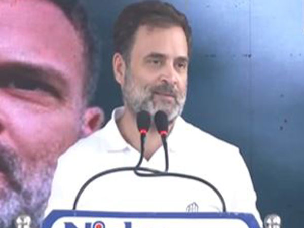 Congress leader Rahul Gandhi. (Photo/ANI)