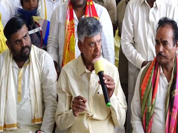 Andhra Pradesh CM Chandrababu Naidu (Photo/ANI)