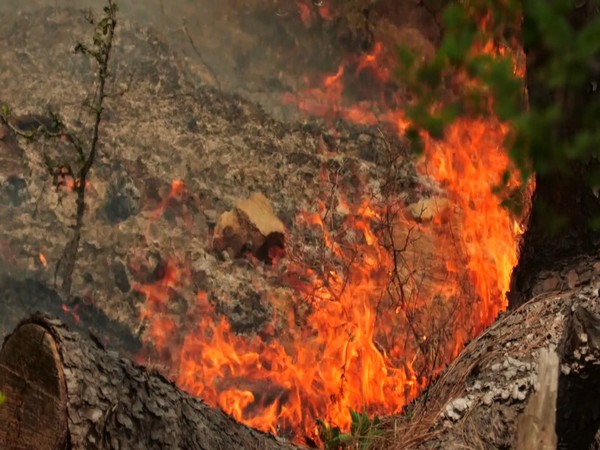 Jammu and Kashmir’s Kaldi forest fire. (Photo/ANI)