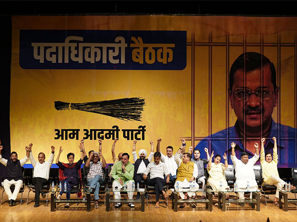 AAP leaders attending a meeting to analyse 2024 Lok Sabha election results (Photo/ANI)