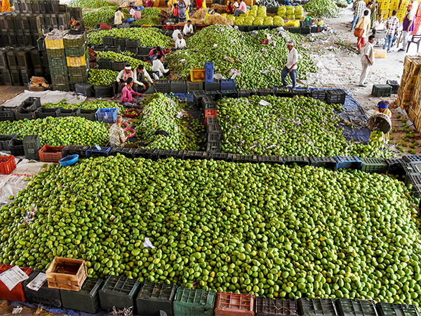 A wholesale market Maharashtra's Nagpur (Image: ANI)