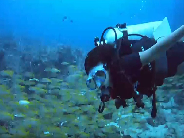 A visual of Kyna taking a dive inside the sea. (Photo- ANI)