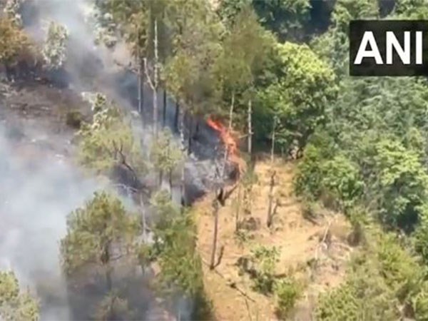 Fire breaks out at Himachal Pradesh's Solan forest (Photo/ANI)