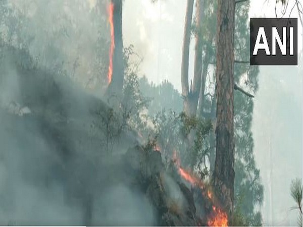 Fire at a  forest in Udhampur, Jammu and Kashmir (Photo/ANI)
