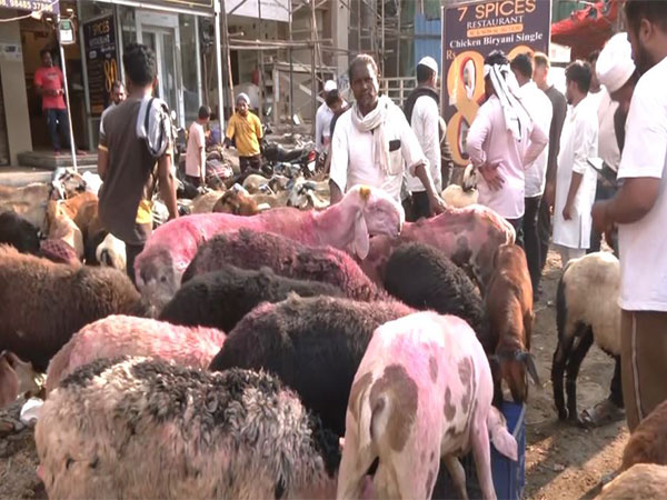 Goats and sheep on sale at a market ahead of Eid-ul-Adha in Hyderabad (Photo/ANI)