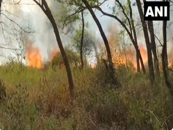 Fire breaks out at Kathlour Wildlife Sanctuary in Punjab's Pathankot (Photo/ANI)