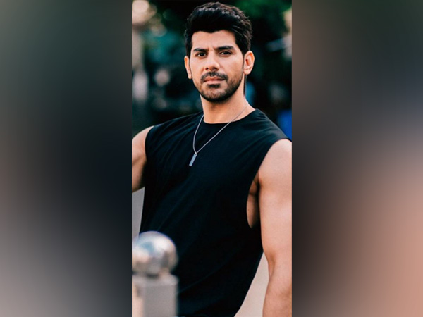 Actor Pavail Gulati (Image source: Instagram)