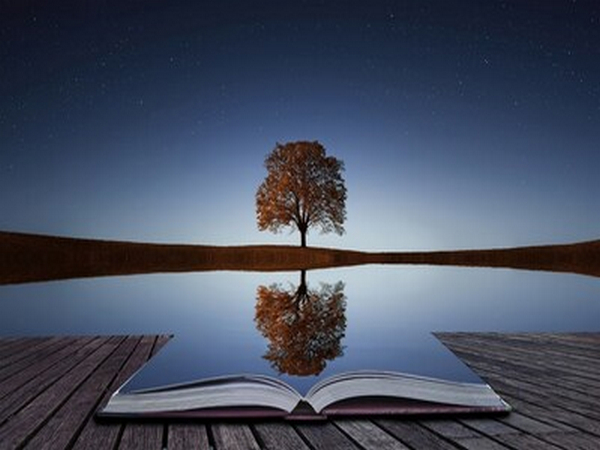 Reflect Grow Lead: Self Reflection in Leadership