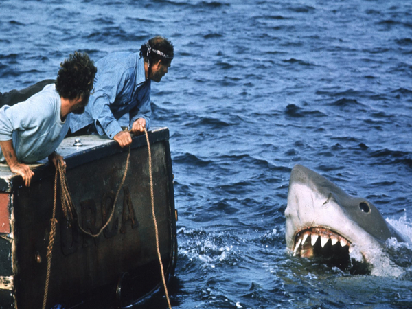 A still from 'Jaws' (Image source: YouTube)