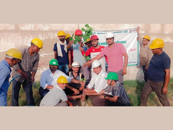 Plantation Drive by Synergy Steels