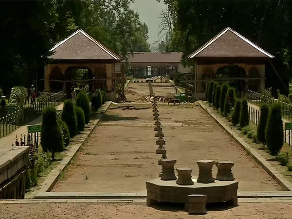 Visuals from the Mughal Garden in Srinagar (Photo/ANI)