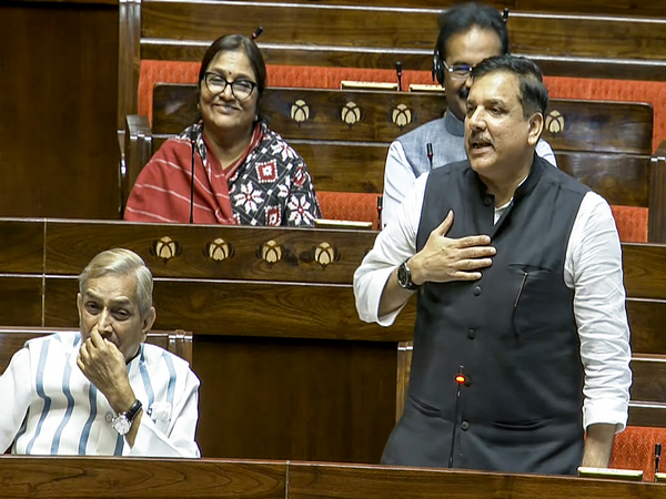 AAP MP Sanjay Singh (Photo/ANI)