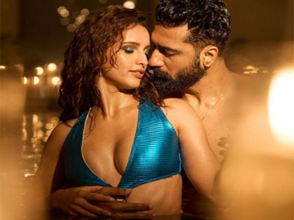 Vicky Kaushal, Triptii Dimri (Image source: Instagram)